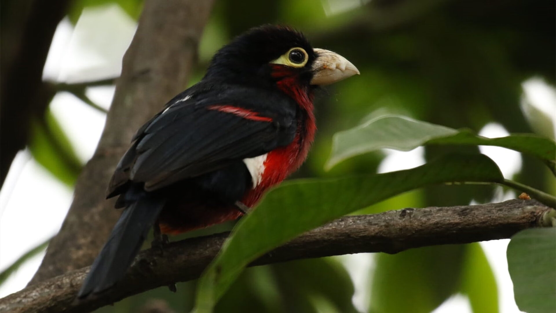 开云官网-“中超赛场新规实施，提升比赛公平性”，中超赛场要求