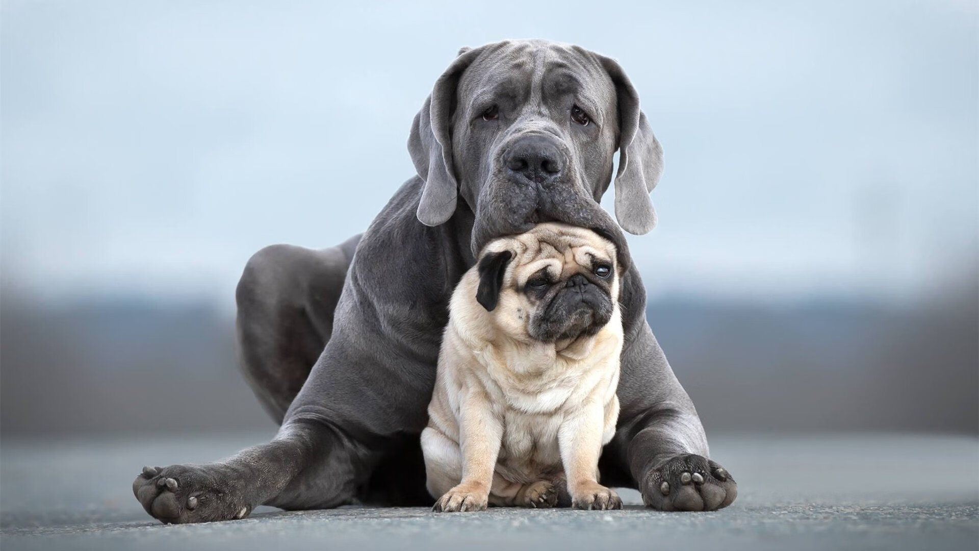 “意甲追分战火升腾，冠军悬念不断变化”，意甲巅峰