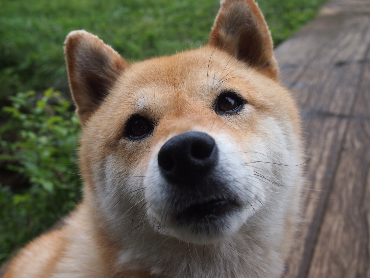 开云体育入口-中超俱乐部建立球员心理咨询室，中超俱乐部工作人员收入