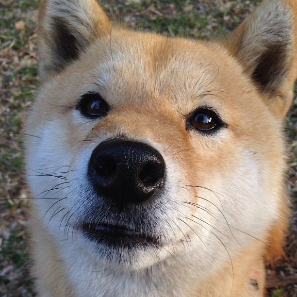 全球影响力不断扩大,NBA引领跨文化篮球交流潮流,nba文化衫