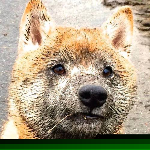 开云投注-全民足球运动推广月，青少年热情高涨，全民足球节是哪一天