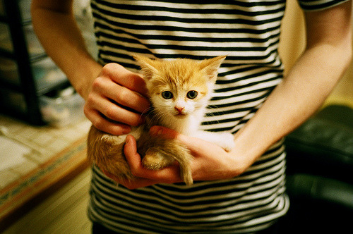 意大利女子排球队在四分之一决赛中战胜中国队，意大利女子排球队队员名单