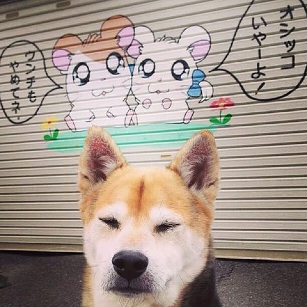 kaiyun sports safe-战术细节：快攻反击成赢球神器！，快攻型打法