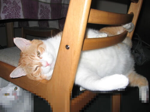 英超官方宣布将举办更多公益活动，强化企业社会责任，英超球队赞助商一览