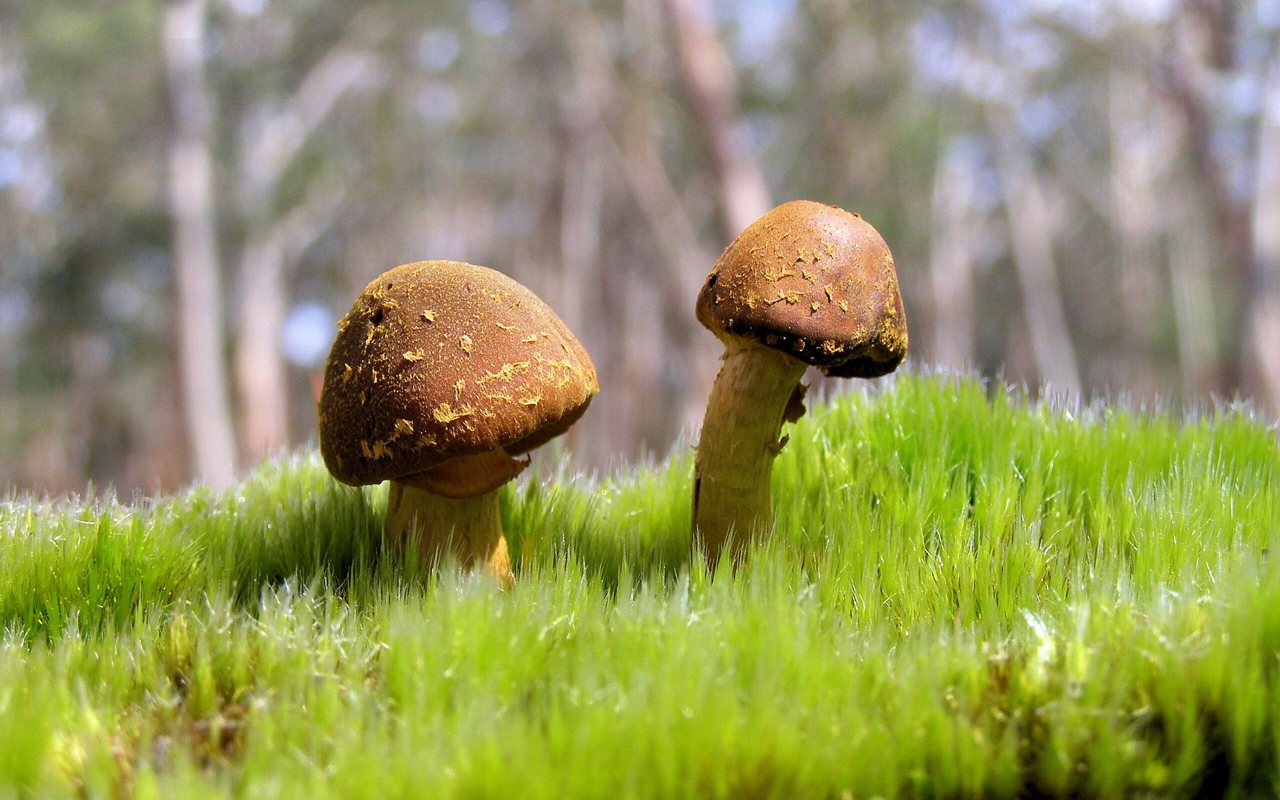 青少年足球“赛+训”融合工作在全国范围内展开，形成良性发展生态