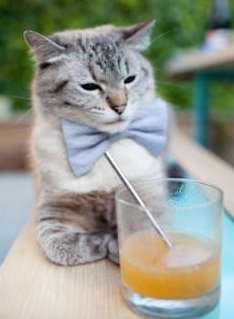 马竞主场绝平，士气受挫，马竞的情况