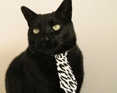 上海上港前锋受伤，对球队目标形成威胁，上海上港队队员