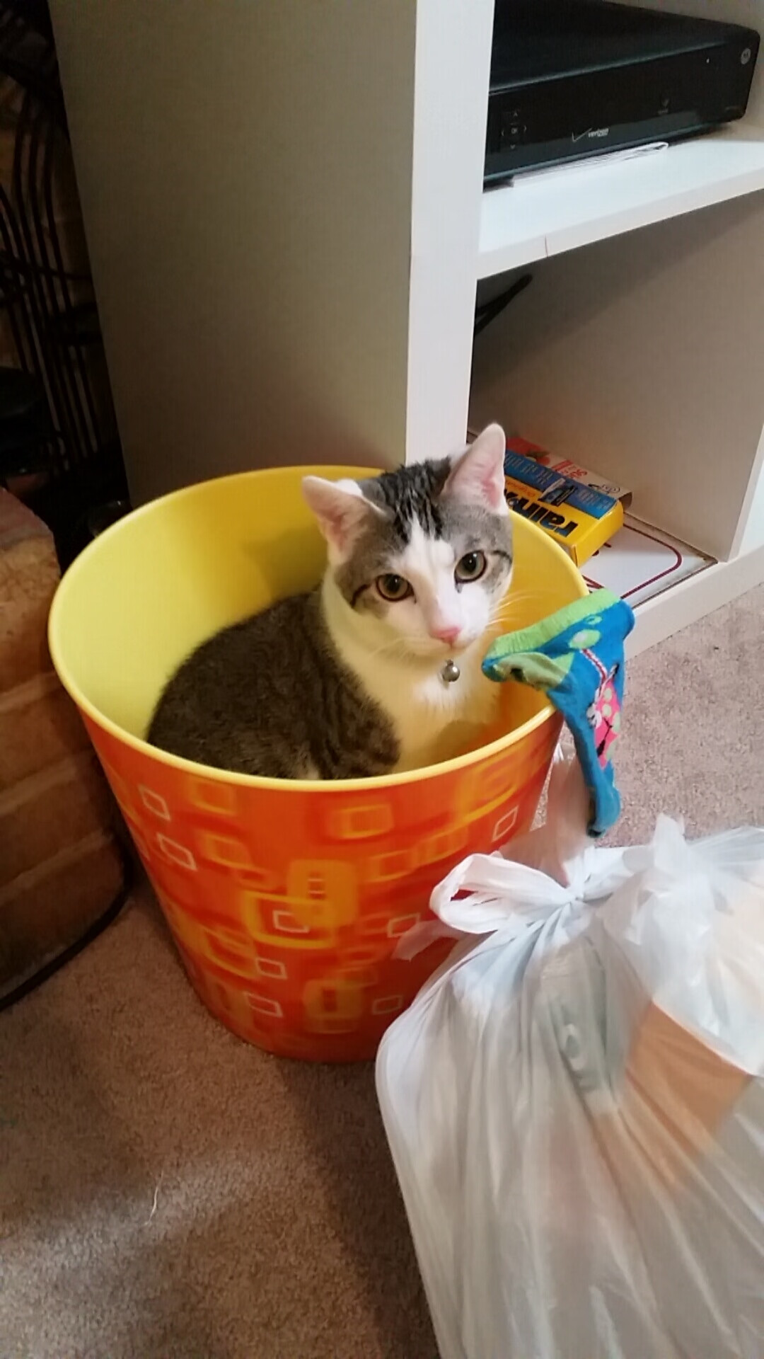 中国篮球职业联赛商业赞助模式创新，cba篮球赞助商