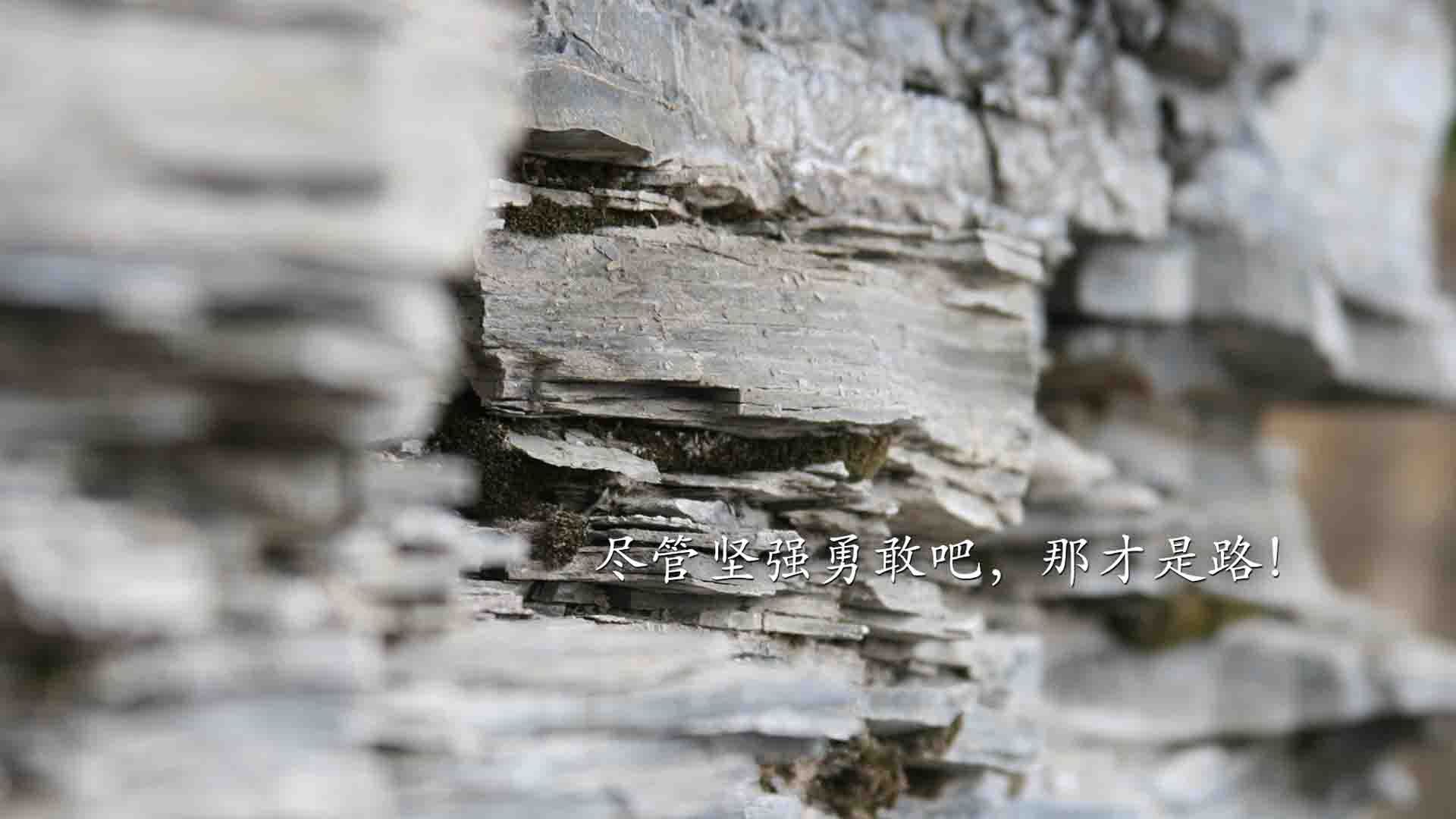 体育赛事品牌社交传播效果监测模型构建，体育赛事的媒体推广