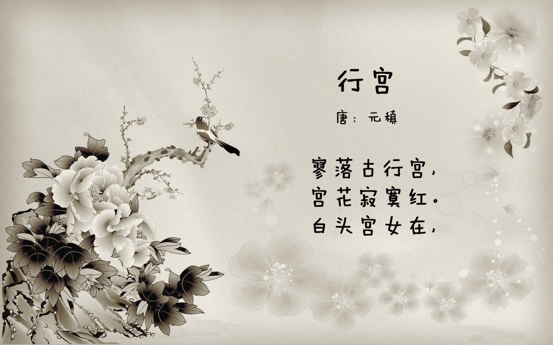 全国青少年跳水锦标赛在深圳火热进行，全国青少年跳水比赛