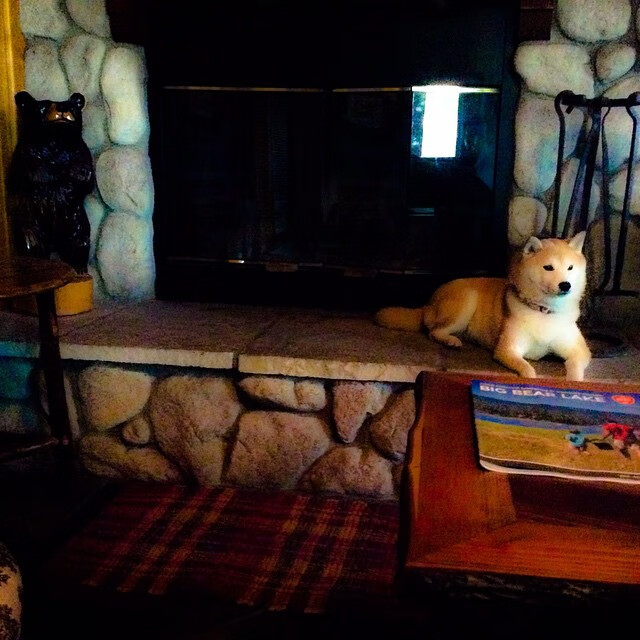 kaiyun sports safe-德甲赛季门票定价策略与球迷出勤率研究，德甲门票怎么买