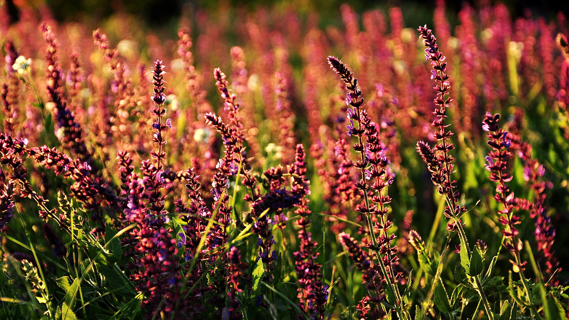 青少年运动心理发展与干预策略，简述对青少年运动员进行心理训练的注意事项