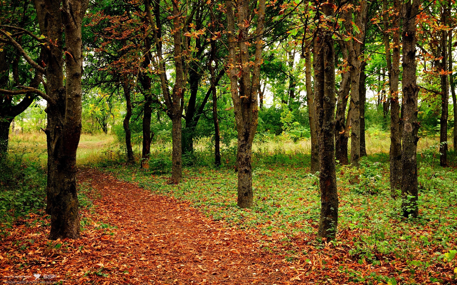 -中国男篮重视情境模拟提升实战能力，中国男篮训练视频录像