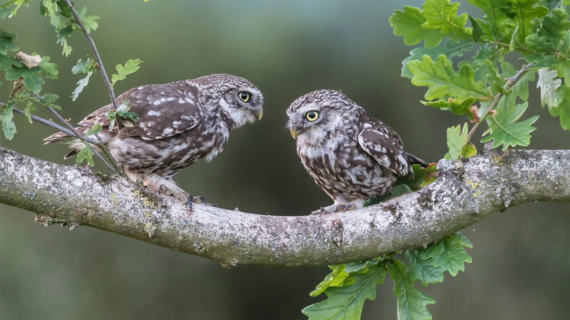开云体育手机版-亚洲杯中国足球战胜 球员技战术水平提高，足球亚洲杯中国队怎么样