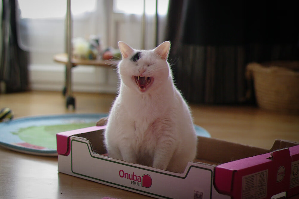 -决赛裁判判罚尺度成为焦点话题，2020裁判规则